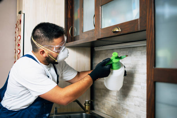Trusted Dawson Springs, KY Pest Control Experts