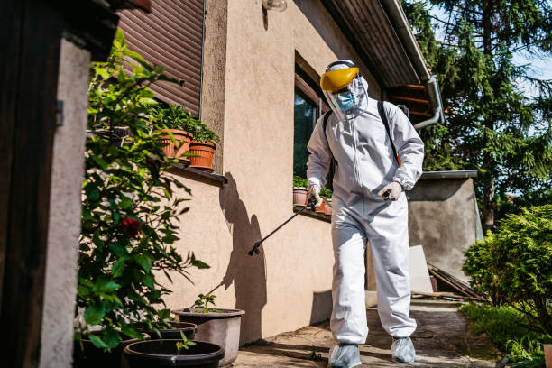 Best Termite Control Services  in Dawson Springs, KY