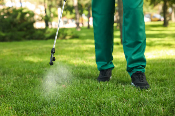 Best Best Pest Control Companies  in Dawson Springs, KY
