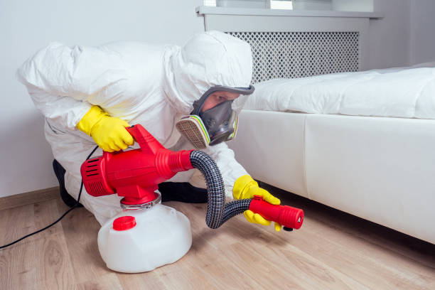 Wasp Removal Services in Dawson Springs, KY