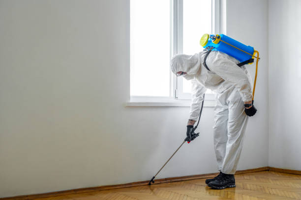 Best Pest Removal Services  in Dawson Springs, KY