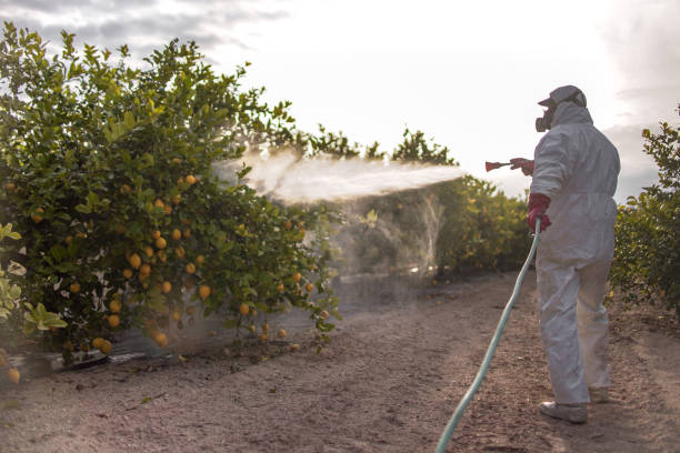 Best Emergency Pest Control  in Dawson Springs, KY
