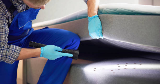 Best Local Pest Control Services  in Dawson Springs, KY