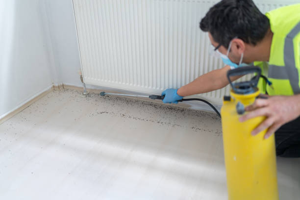 Best Cockroach Control Services  in Dawson Springs, KY